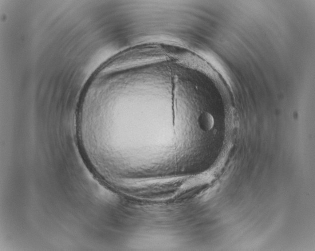 X0000088630999200706081542