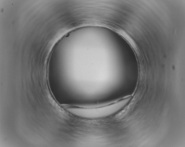X0000088631004200706081542