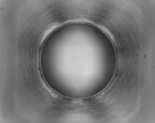 X0000088631006200706081542