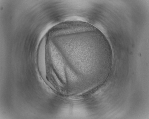 X0000088631008200706081542