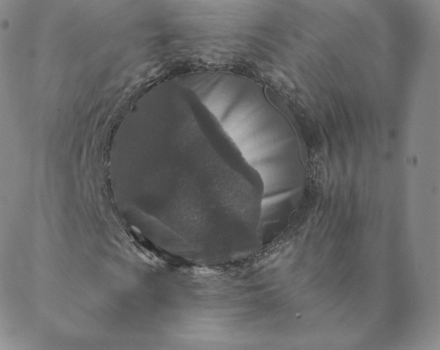 X0000088631009200706081541