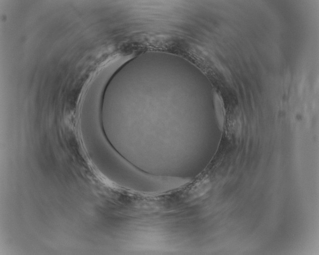X0000088631010200706081541
