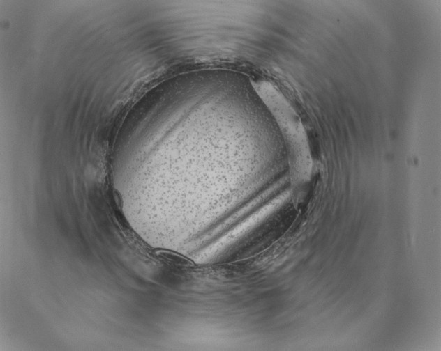 X0000088631012200706081541