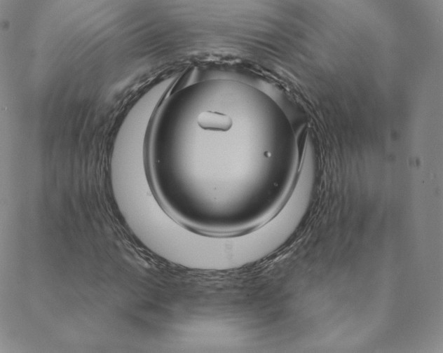 X0000088631014200706081541