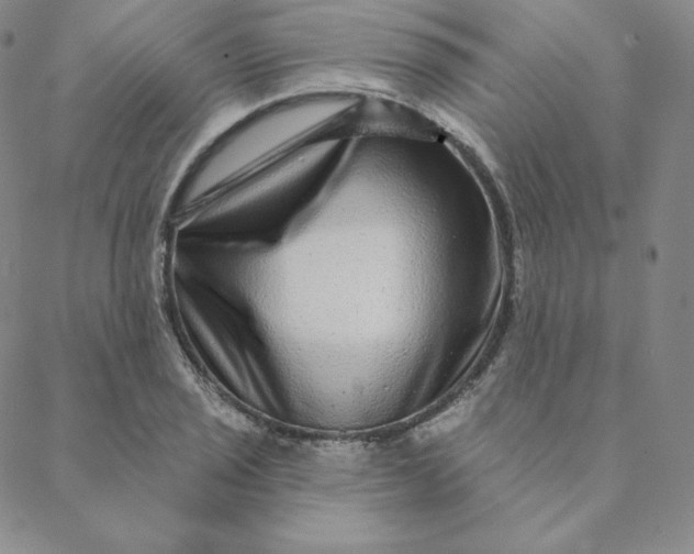 X0000088631029200706081542