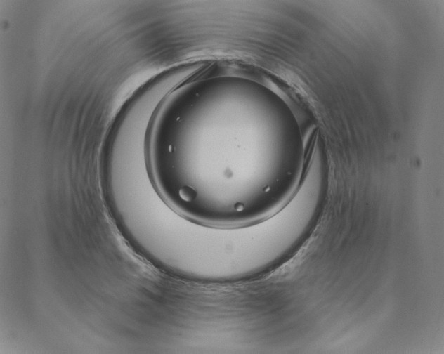 X0000088631030200706081542