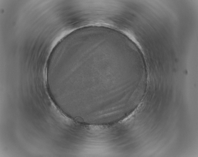X0000088631032200706081542