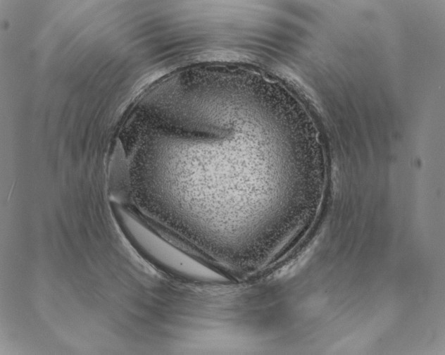 X0000088631033200706081542