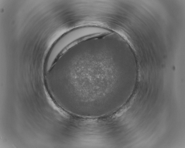 X0000088631038200706081542