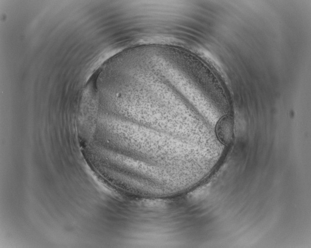X0000088631041200706081542