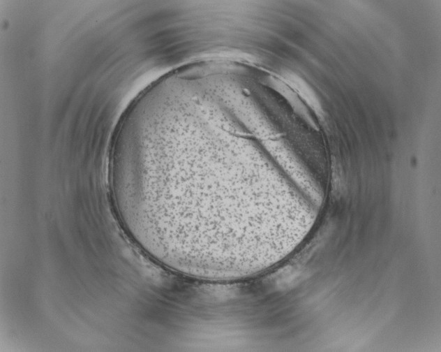 X0000088631044200706081542