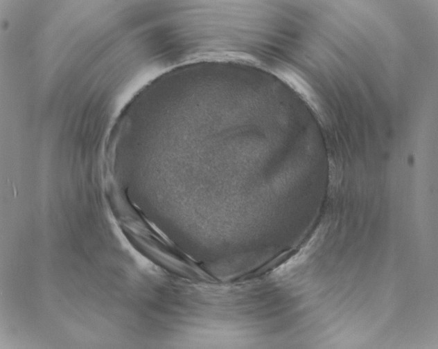 X0000088631046200706081542