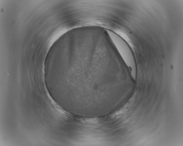 X0000088631047200706081542