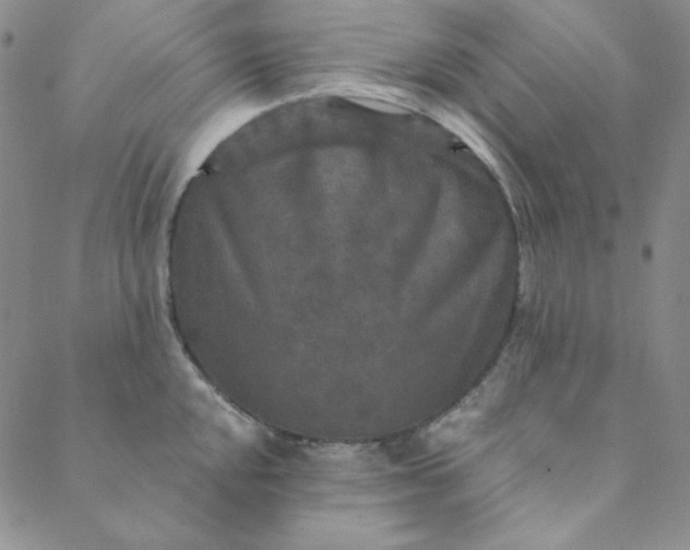 X0000088631048200706081542