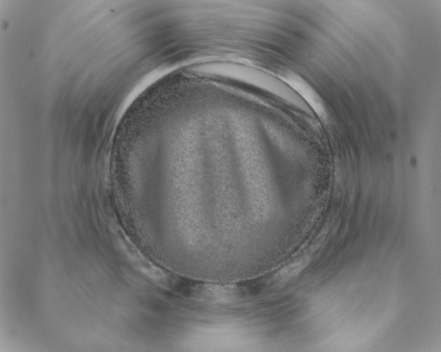 X0000088631052200706081542