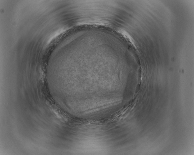 X0000088631064200706081541