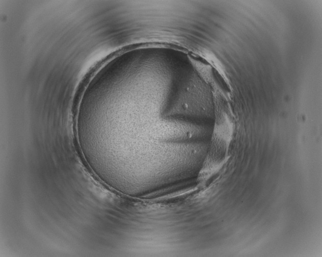X0000088631072200706081541