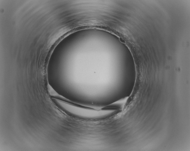 X0000088631073200706081541