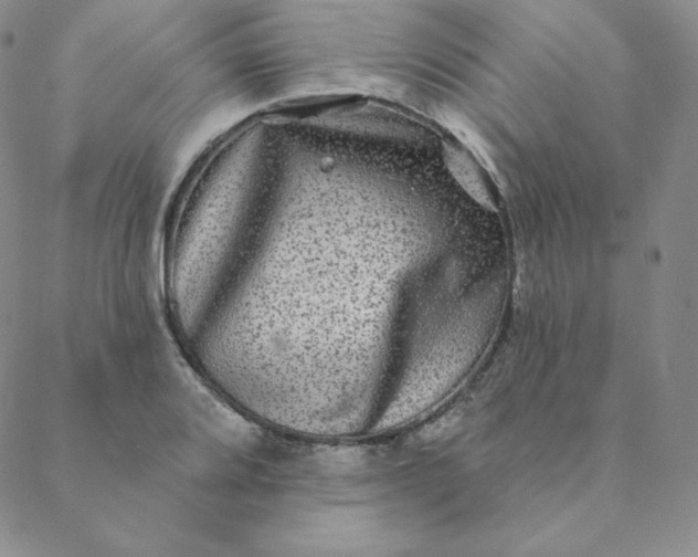 X0000088631080200706081541