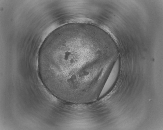 X0000088631083200706081541