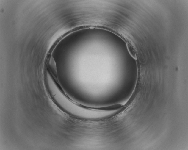 X0000088631085200706081541