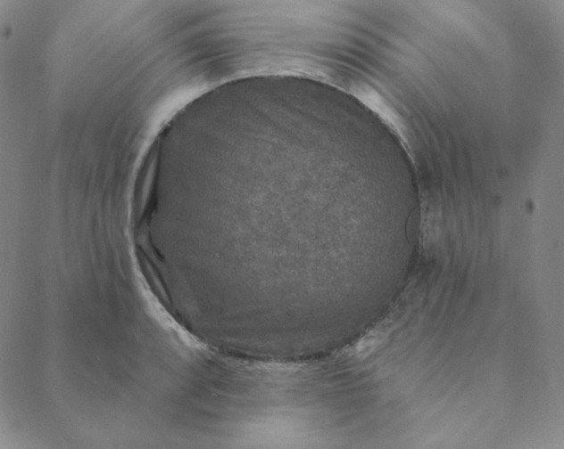 X0000088631088200706081541