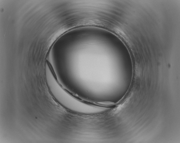 X0000088631089200706081541