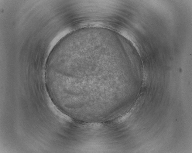 X0000088631090200706081541