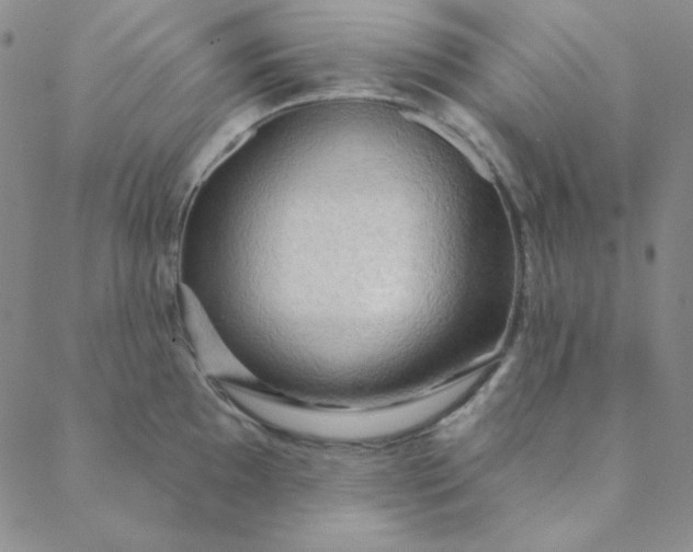 X0000088631097200706081541