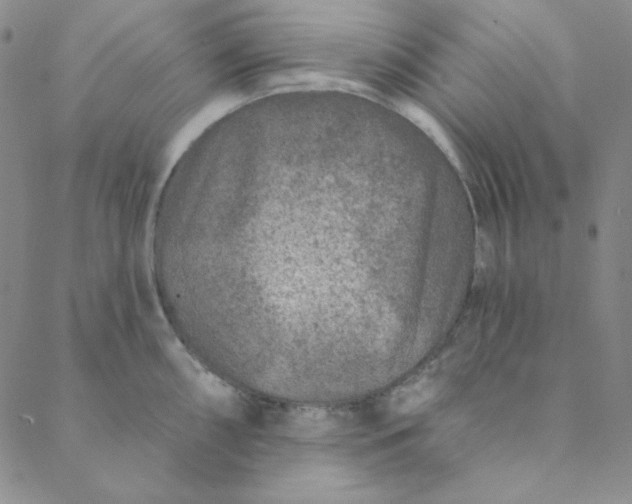 X0000088631098200706081541