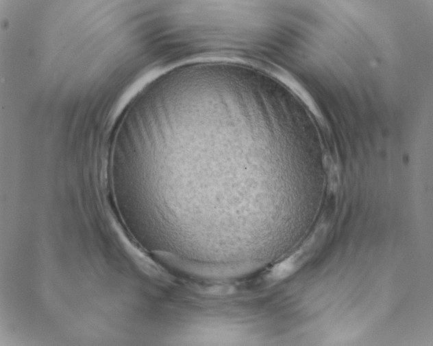 X0000088631101200706081540