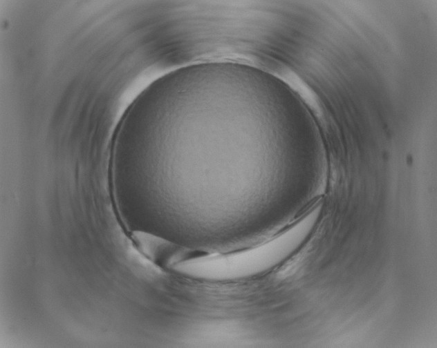 X0000088631102200706081540