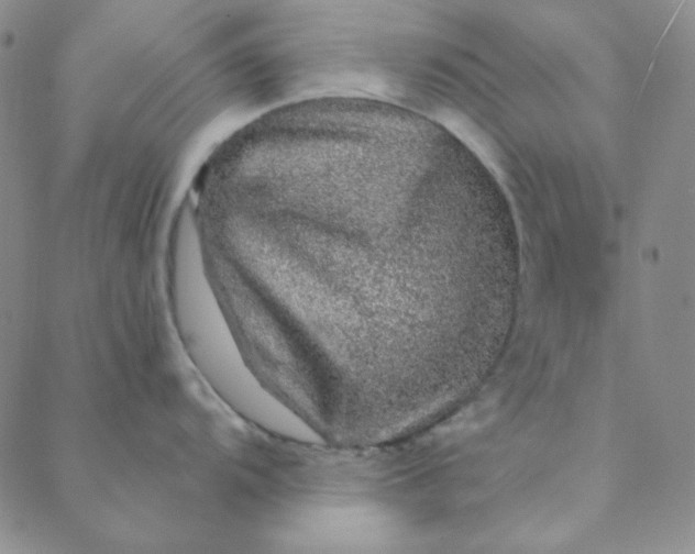 X0000088631104200706081540