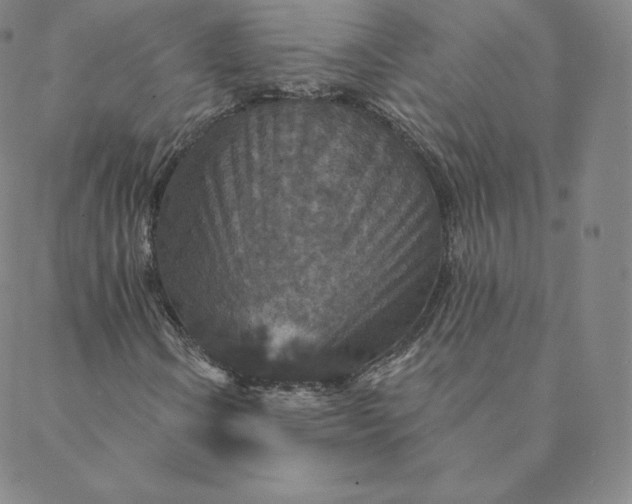 X0000088631106200706081540