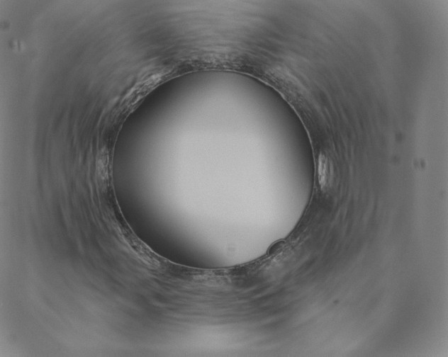 X0000088631107200706081540