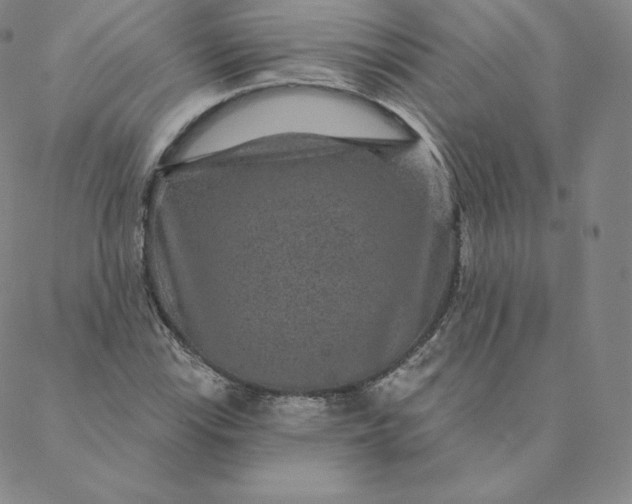 X0000088631115200706081540