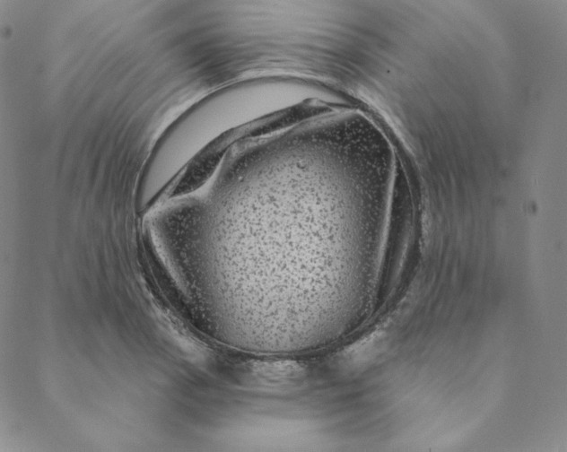 X0000088631129200706081540