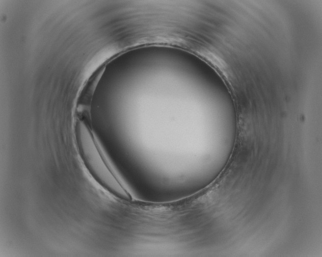 X0000088631135200706081540