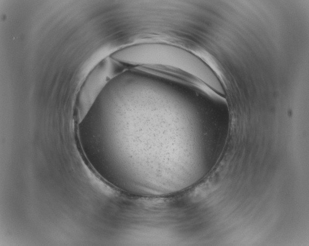 X0000088631143200706081540