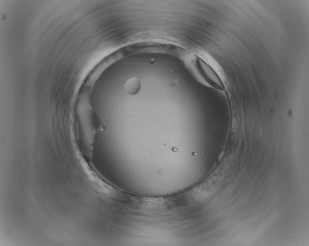 X0000088631144200706081540