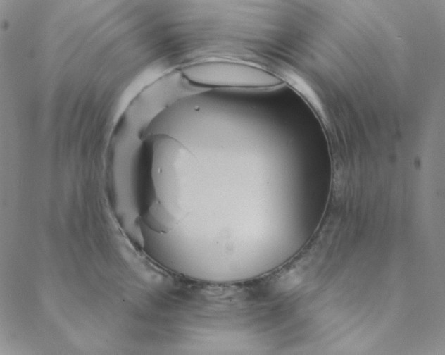 X0000088631146200706081540