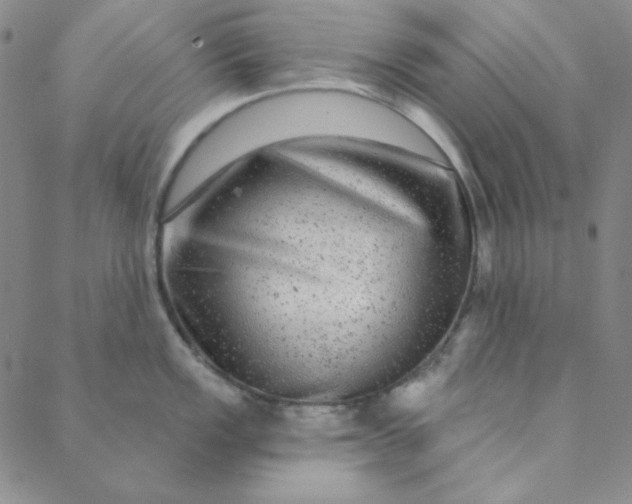X0000088631149200706081540