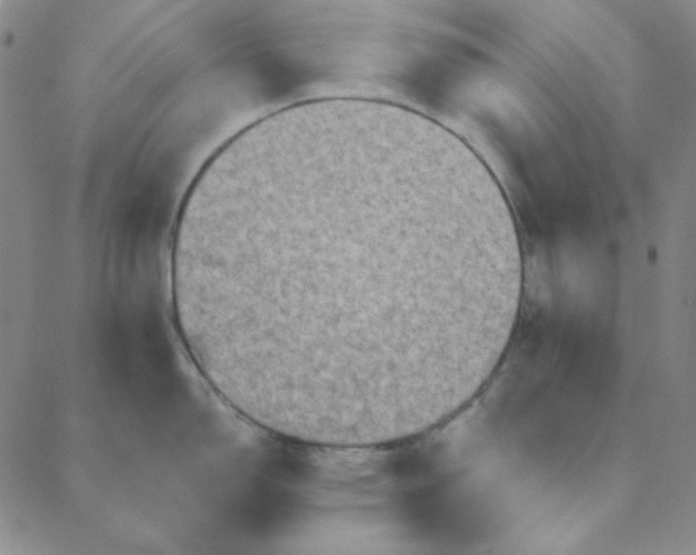 X0000088631150200706081540