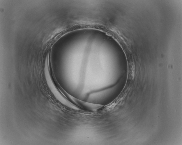 X0000088631157200706081540