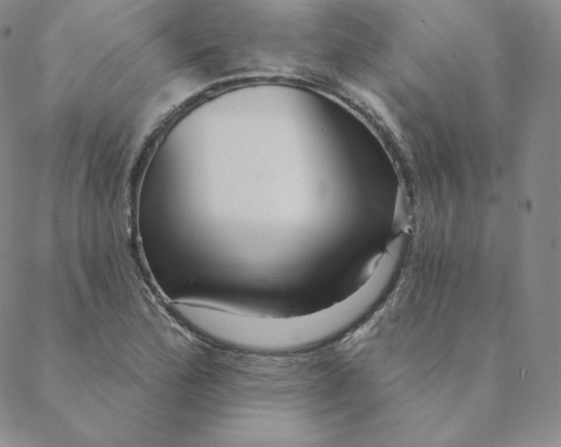 X0000088631172200706081539