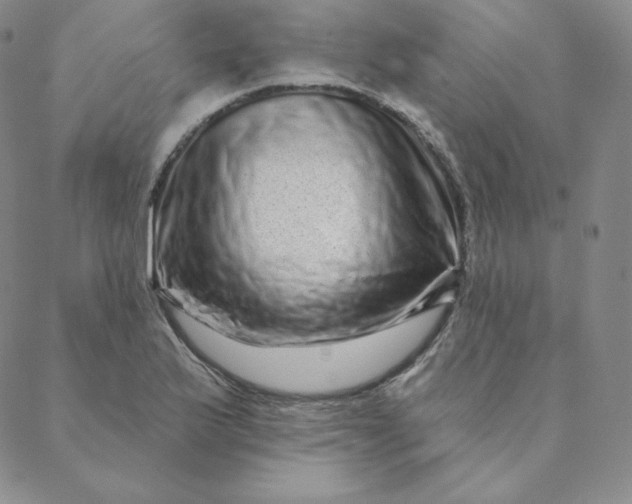 X0000088631175200706081539