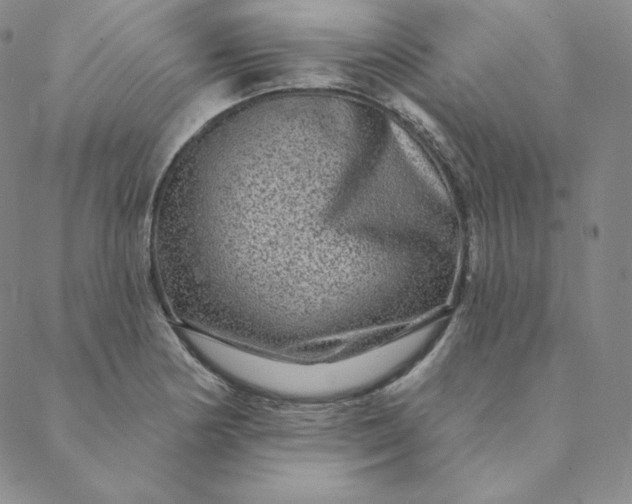X0000088631178200706081539