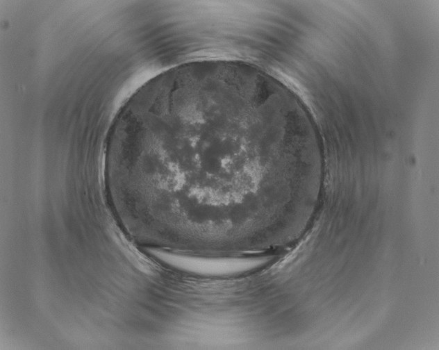 X0000088631179200706081539