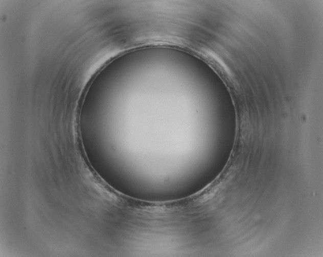 X0000088631182200706081539