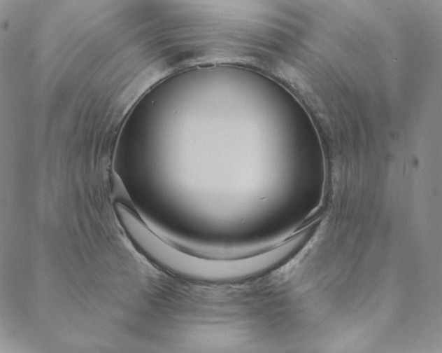 X0000088631185200706081539